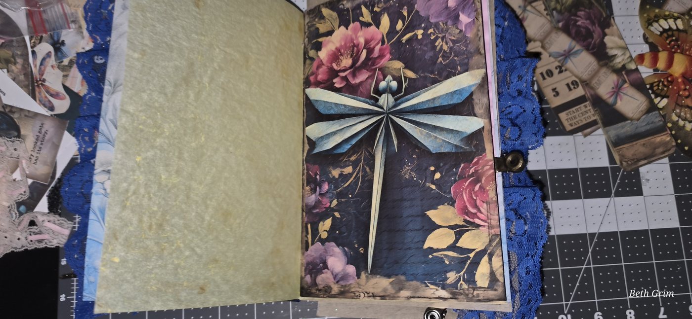 Dragonfly Dreams photo 5
