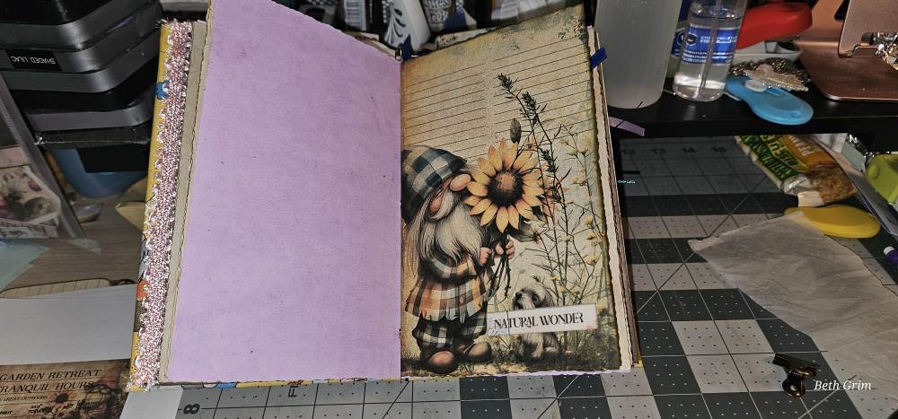 Gnome Journal photo 7