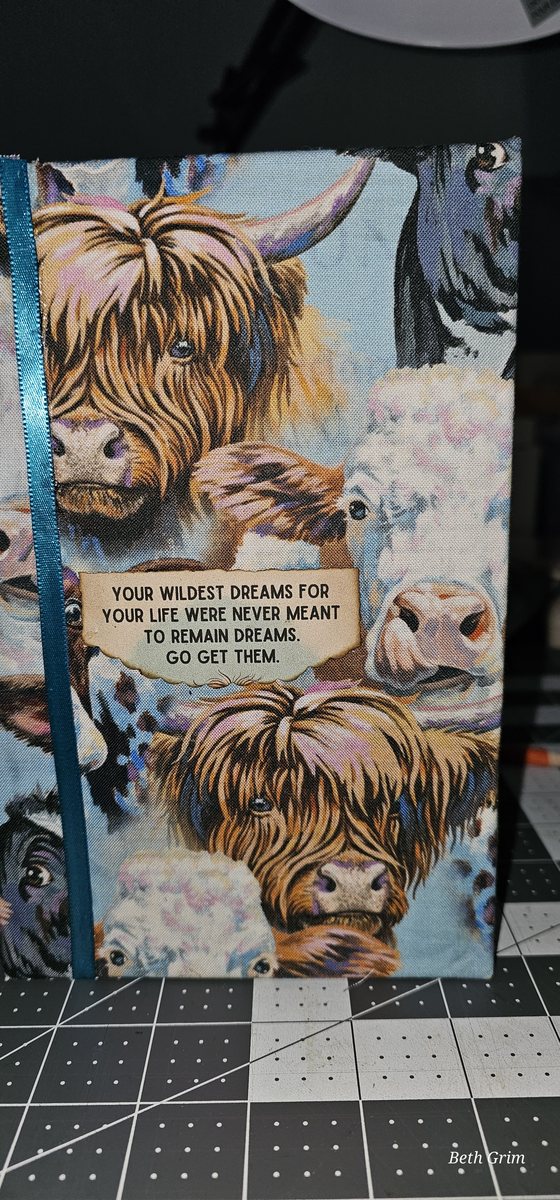 Highland Cows #1 photo 1