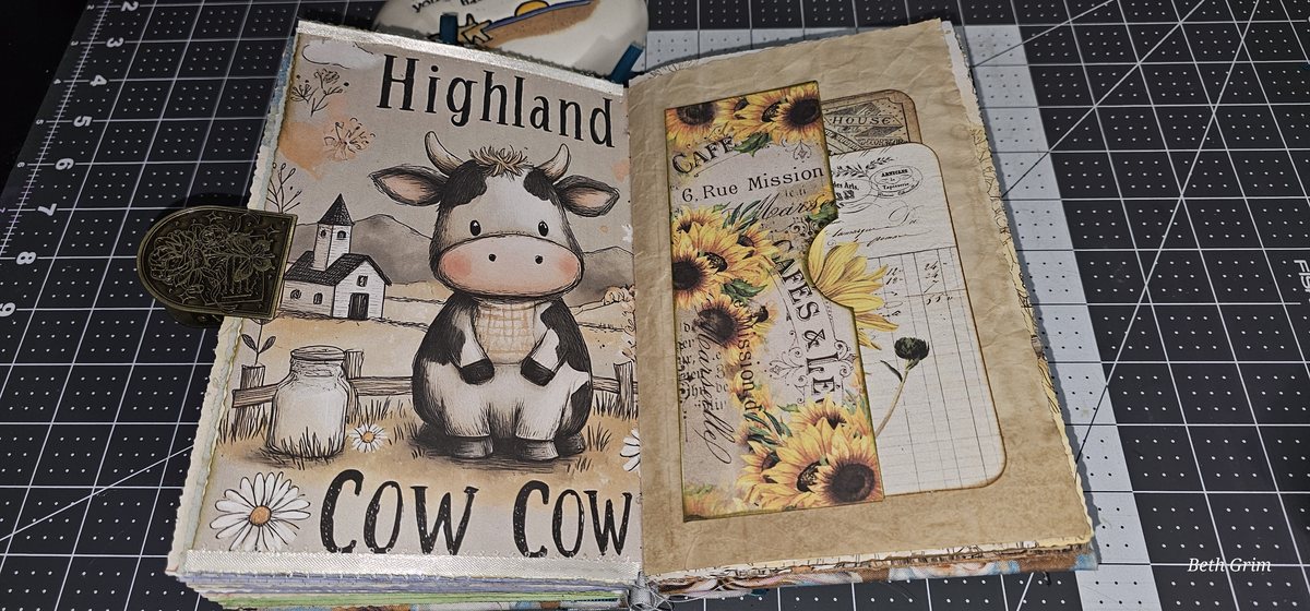 Highland Cows #1 photo 18