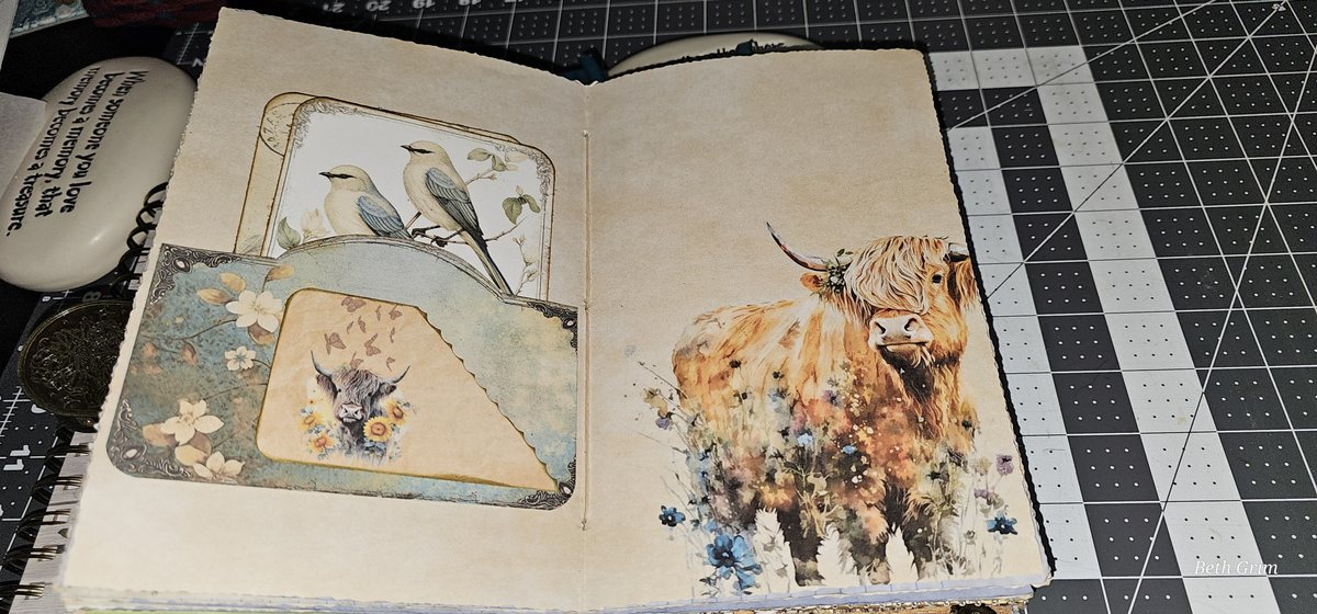Highland Cows #1 photo 25