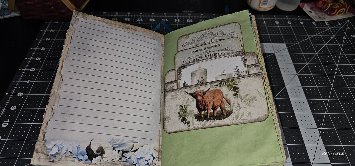 Highland Cows #1 photo 55